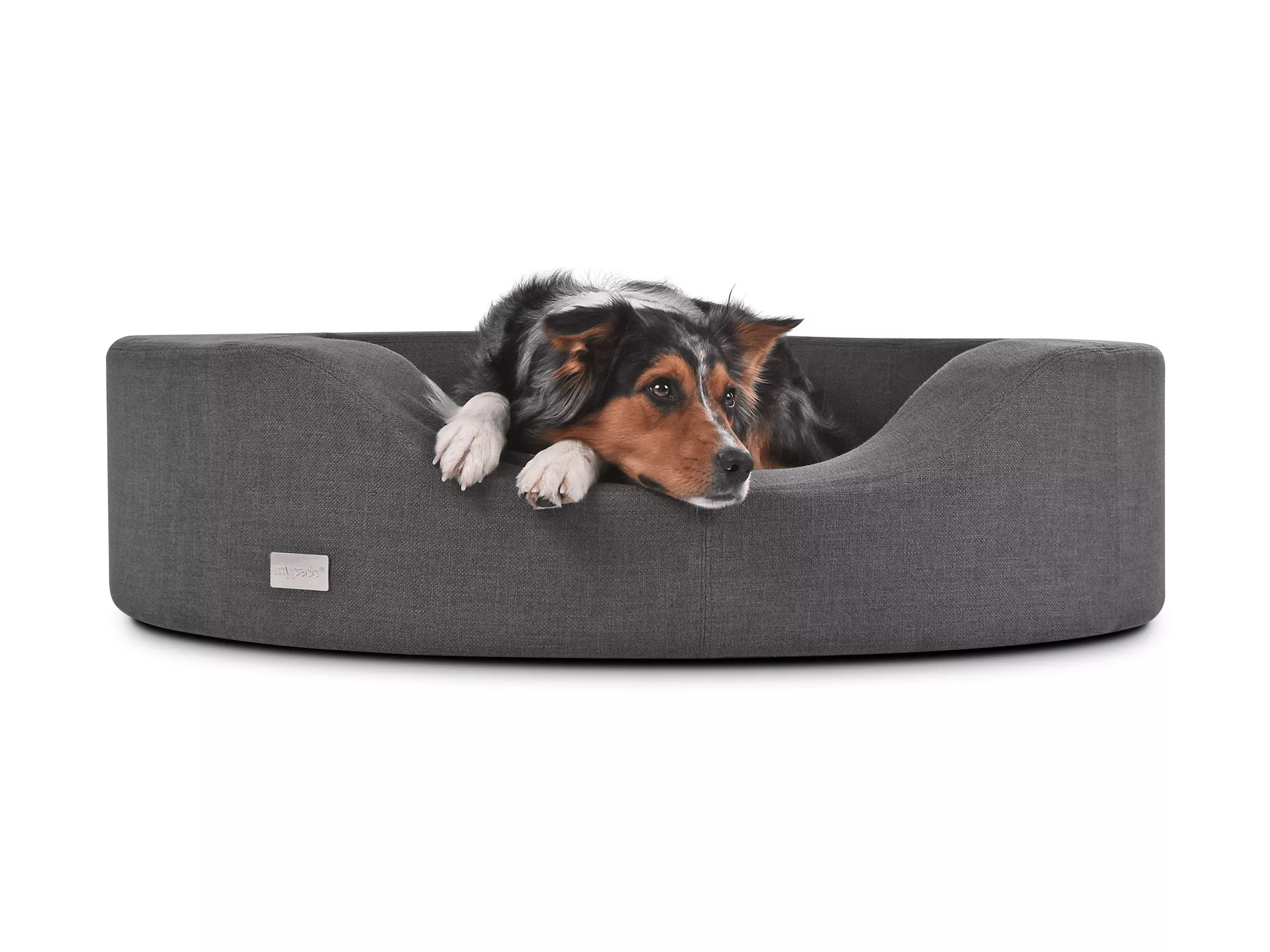 mypado Prado Structure Hundesofa