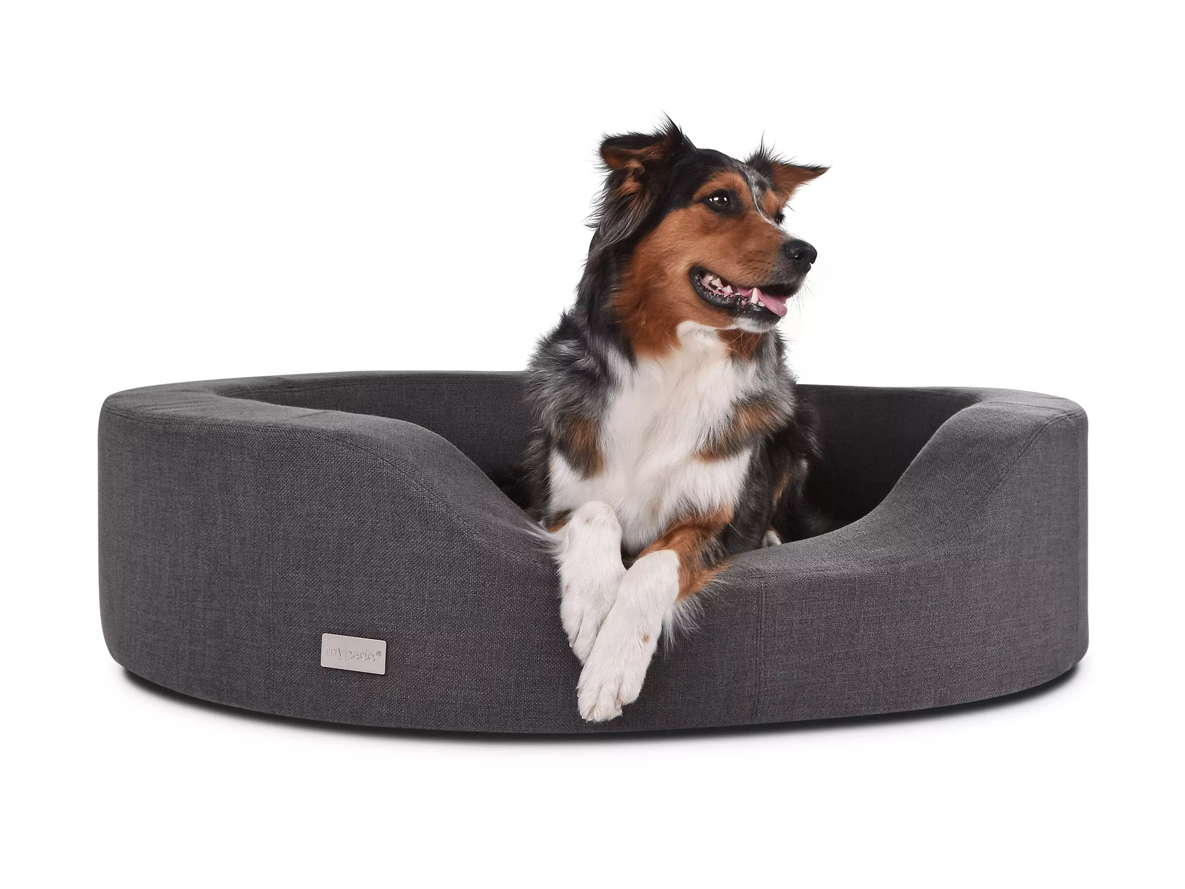 mypado Prado Structure Hundesofa